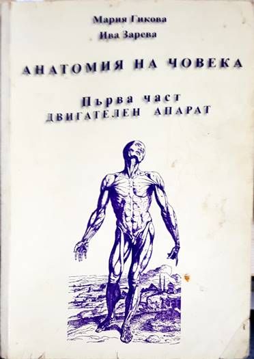 Анатомия на човека. Част 1: Двигателен апарат