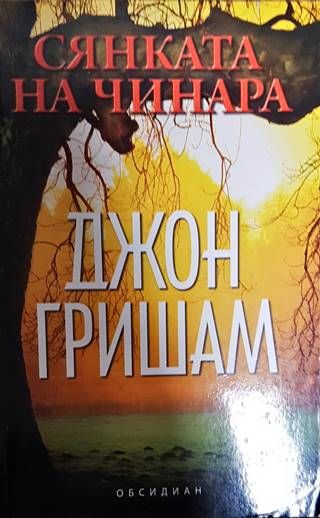 Сянката на чинара