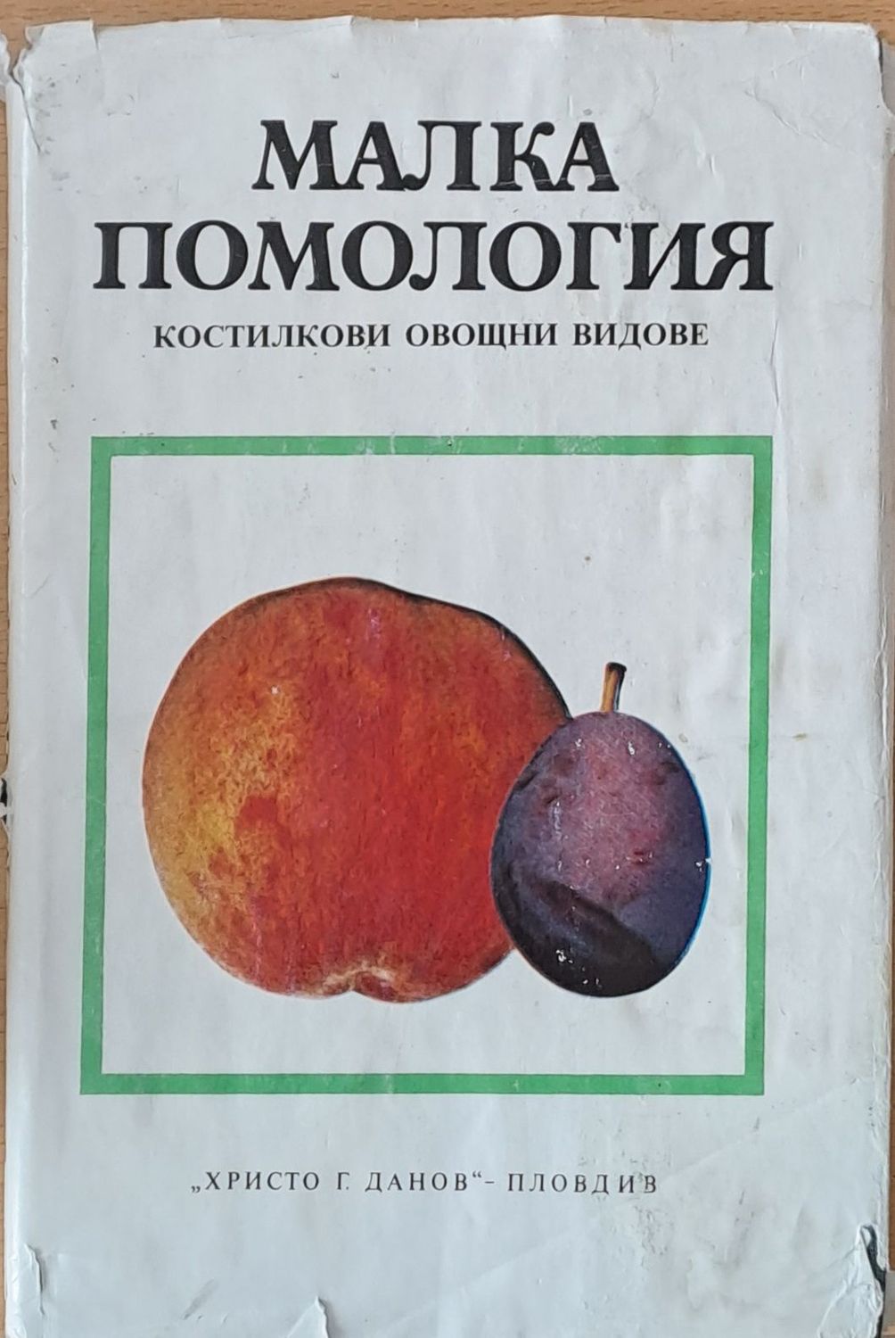 Малка помология: Костилкови овщни видове