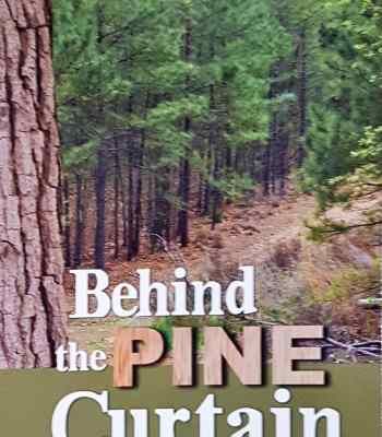 Behind the Pine Curtain