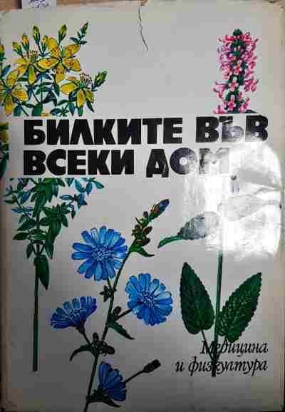 Билките във всеки дом