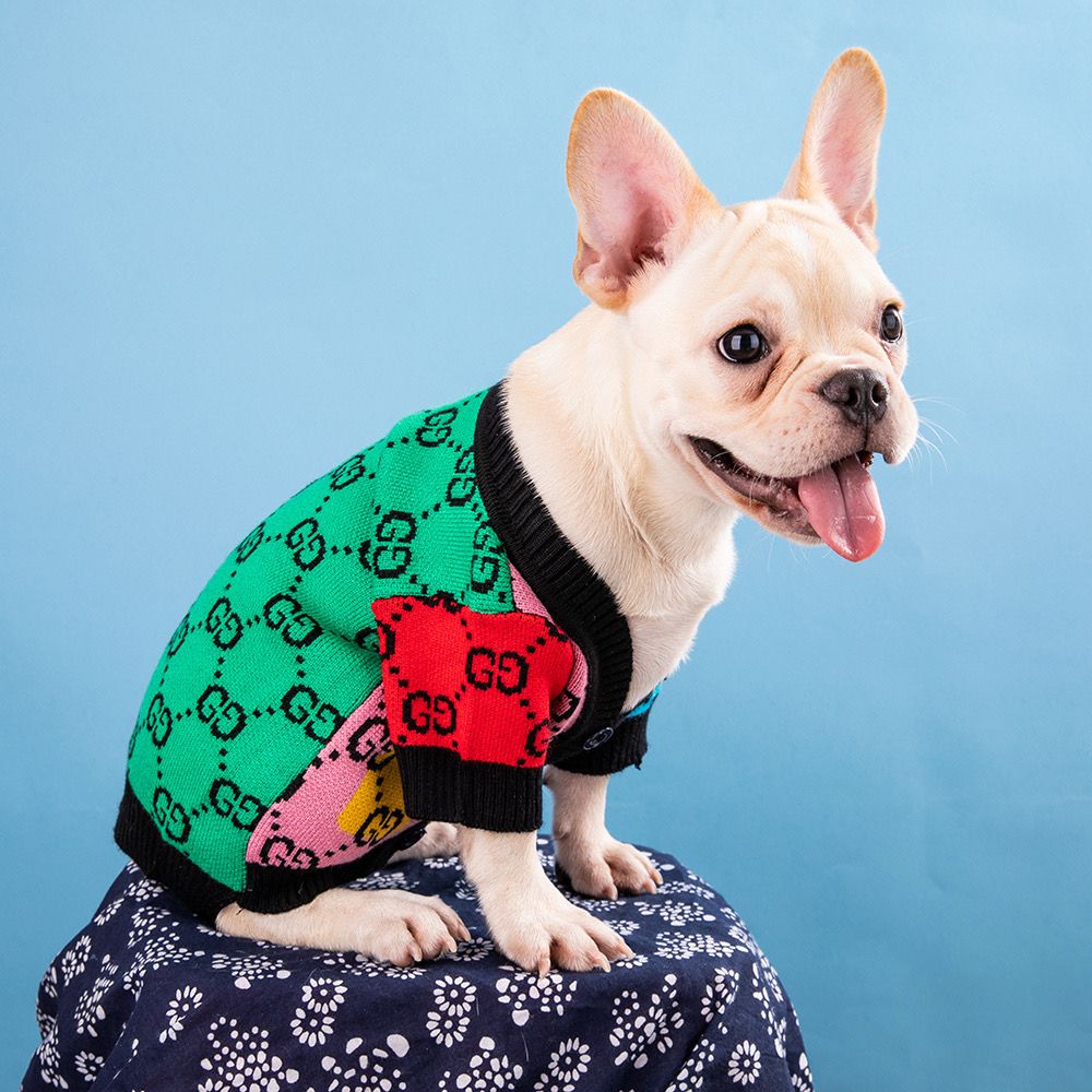 GG Dog Sweater 🐕🧶