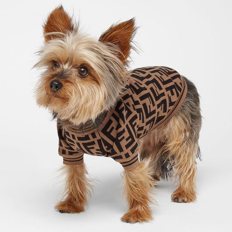 Maglione di Lusso FF per Cani – Eleganza e Comfort