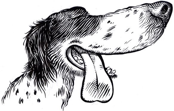 Caricatura di un cane disegnata a mano a inchiostro e acquerello da Sébastien Rieu