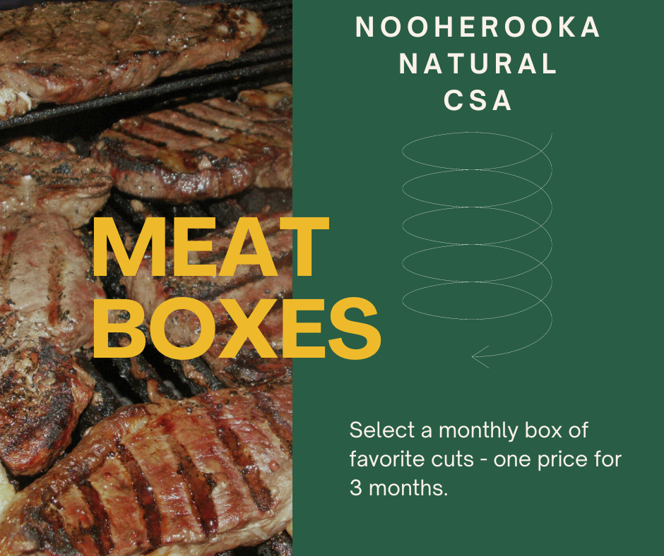 Meat Box CSA Gift Certificate