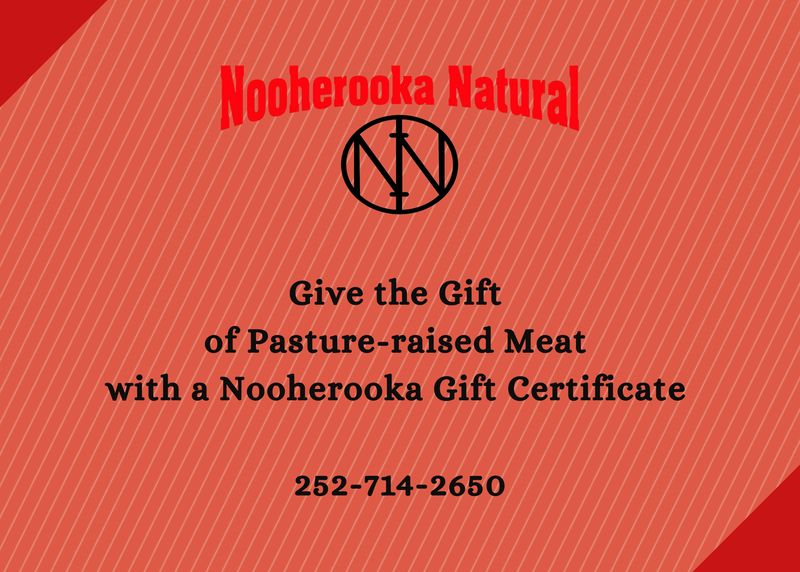 $50 Nooherooka Gift Certificate