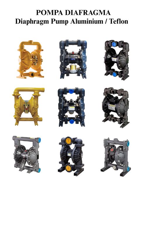 Aluminium Teflon Pneumatic Diaphragm Pump