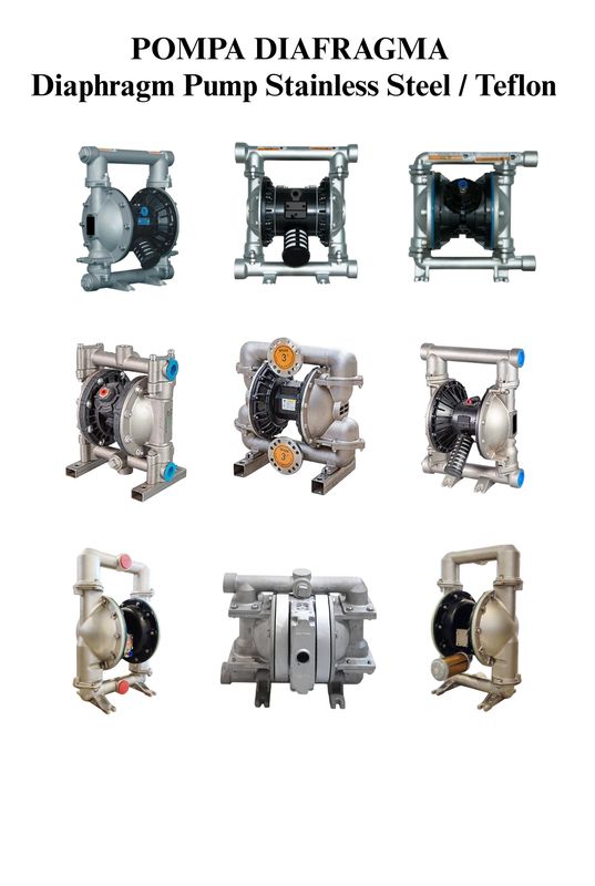 Stainless Steel Teflon Pneumatic Diaphragm Pump
