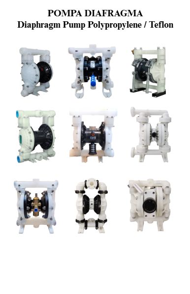 Polypropylene (PP) Teflon Pneumatic Diaphragm Pump