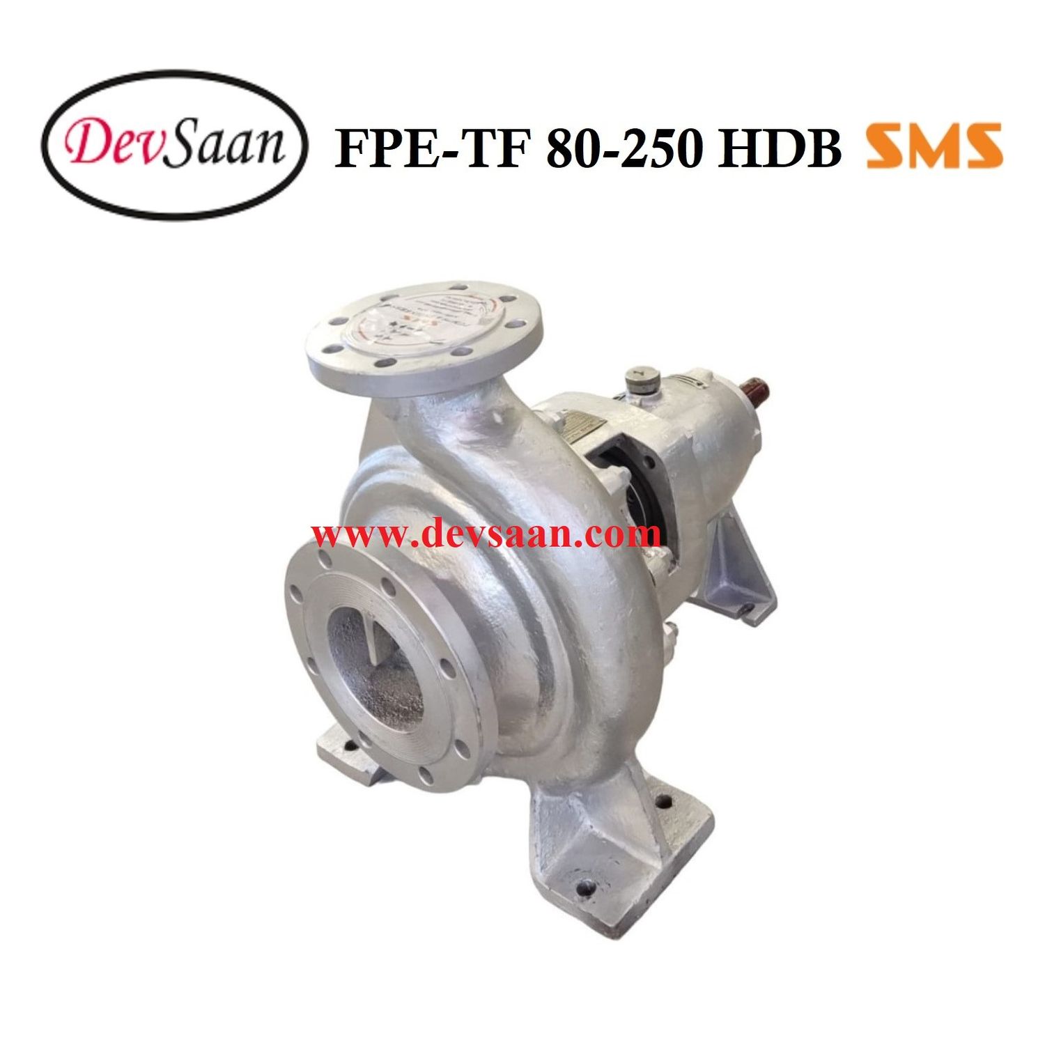 Thermic Fluid Pump FPE-TF 80-250 HDB Pompa Sentrifugal Oli Panas