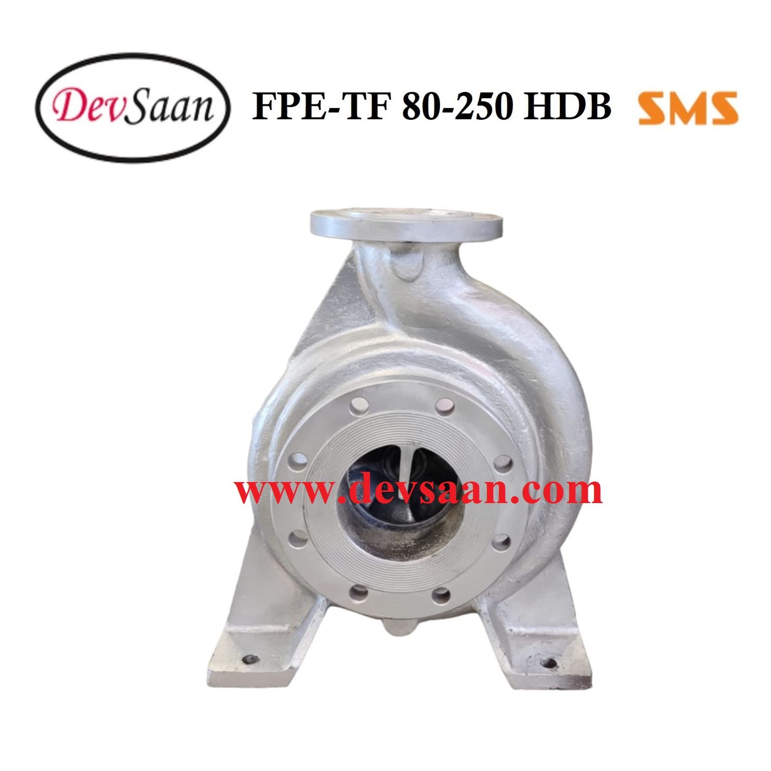 Thermic Fluid Pump FPE-TF 80-250 HDB Pompa Sentrifugal Oli Panas
