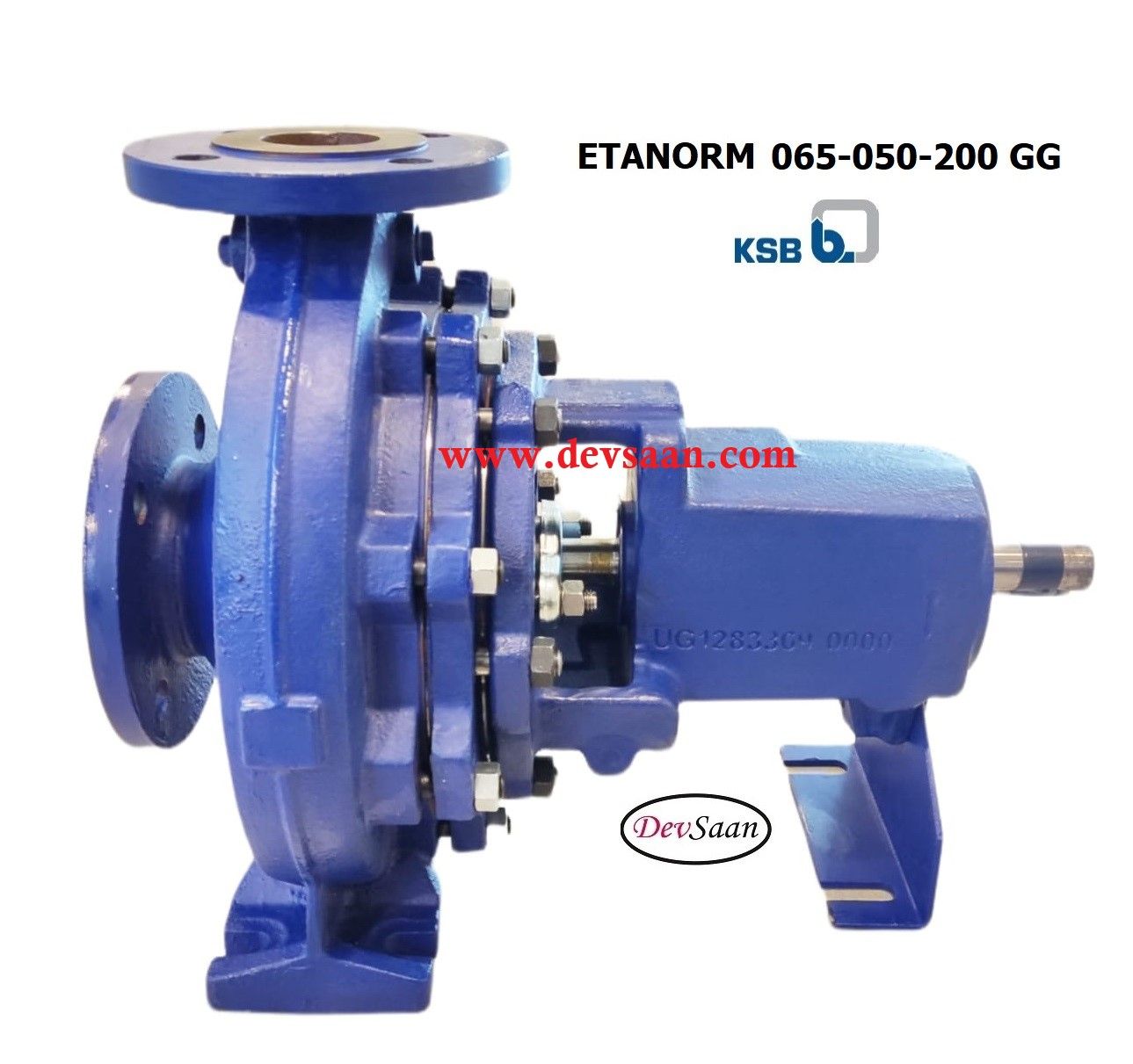 Centrifugal Pump End Suction KSB Etanorm ETN 065-050-200 GG