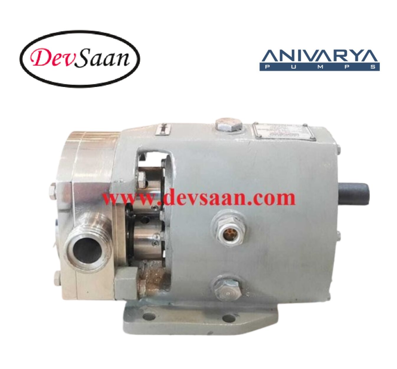 Rotary Lobe Pump ALB-100S Pompa Rotari Lobe