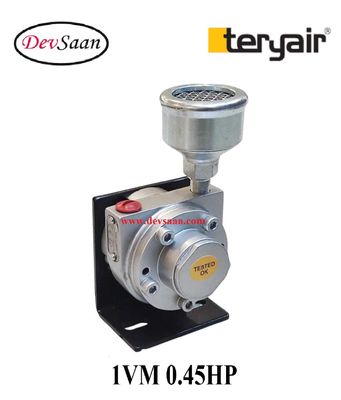 Vane Air Motor 1VM 0.45 Hp