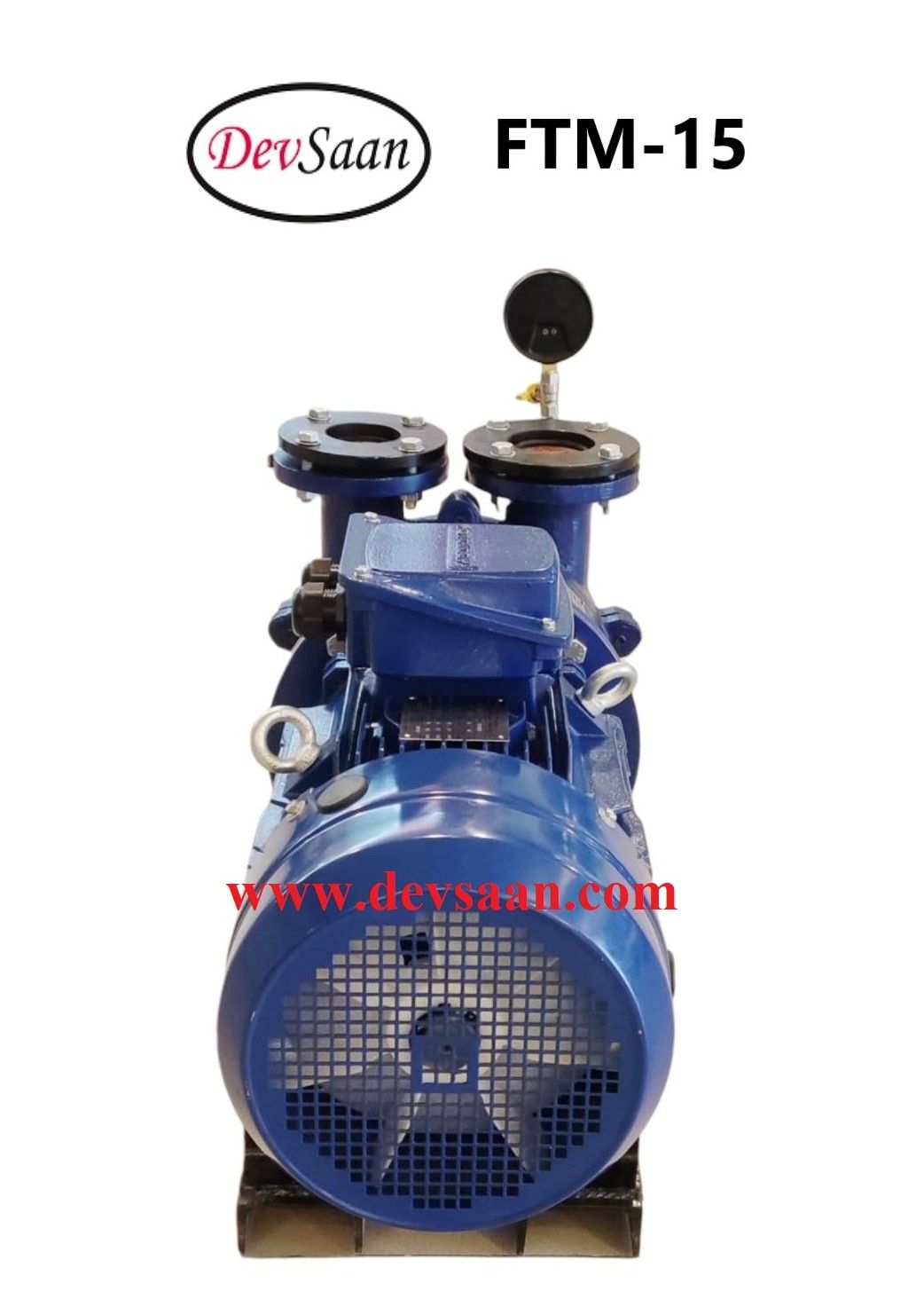 Pompa Vakum Monoblok FTM-15 Liquid Ring Vacuum Pump