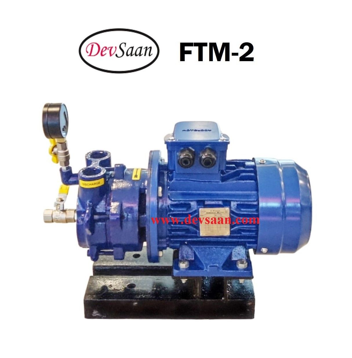 Pompa Vakum Monoblok FTM-2 Liquid Ring Vacuum Pump