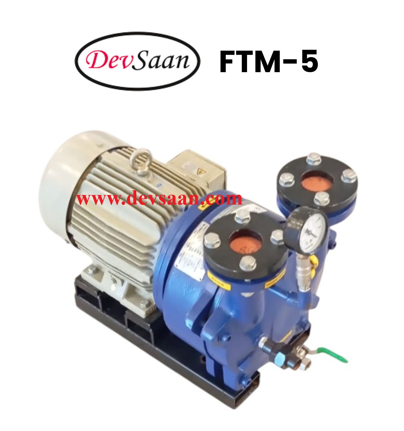 Pompa Vakum Monoblok FTM-5 Liquid Ring Vacuum Pump