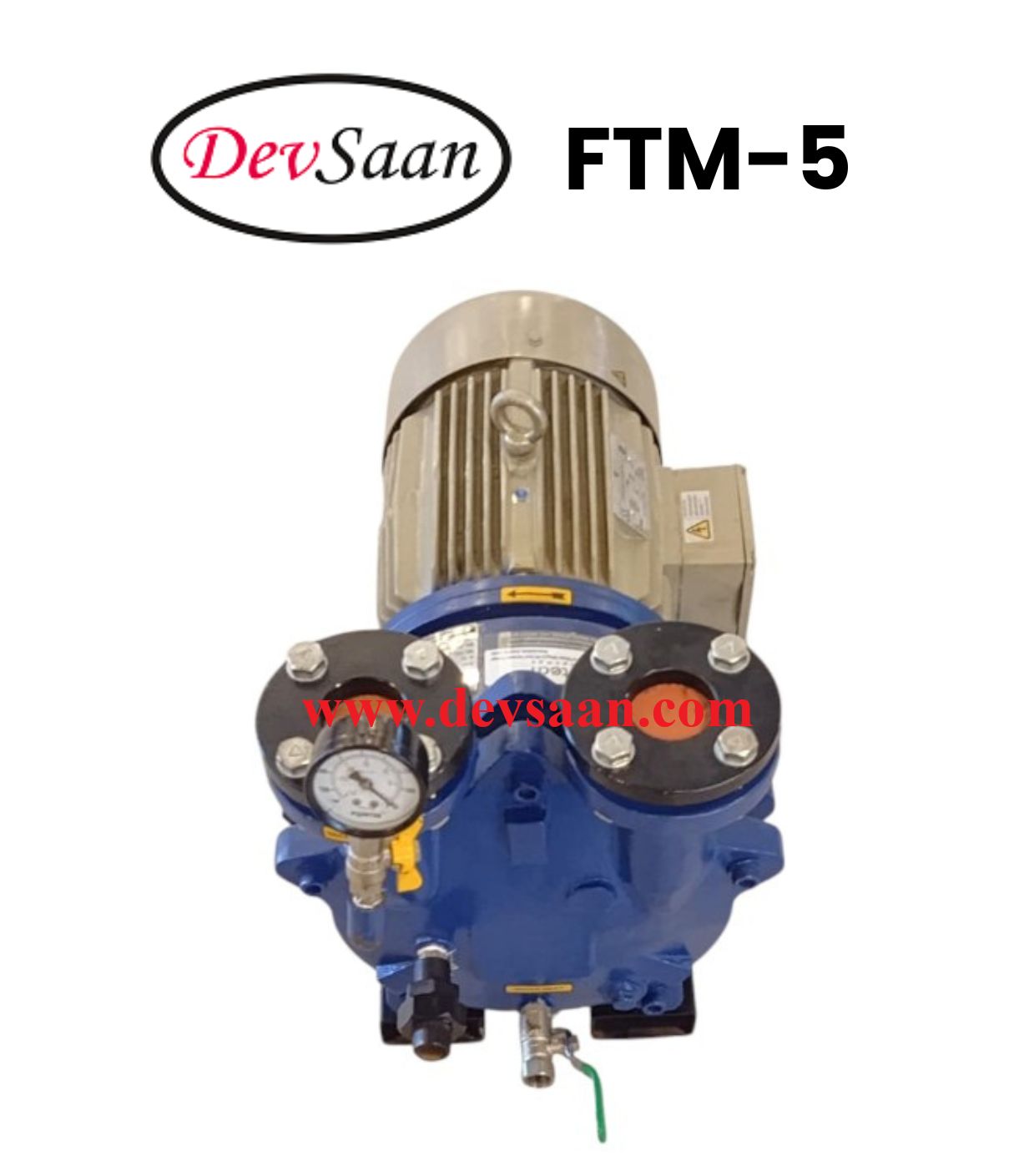 Pompa Vakum Monoblok FTM-5 Liquid Ring Vacuum Pump