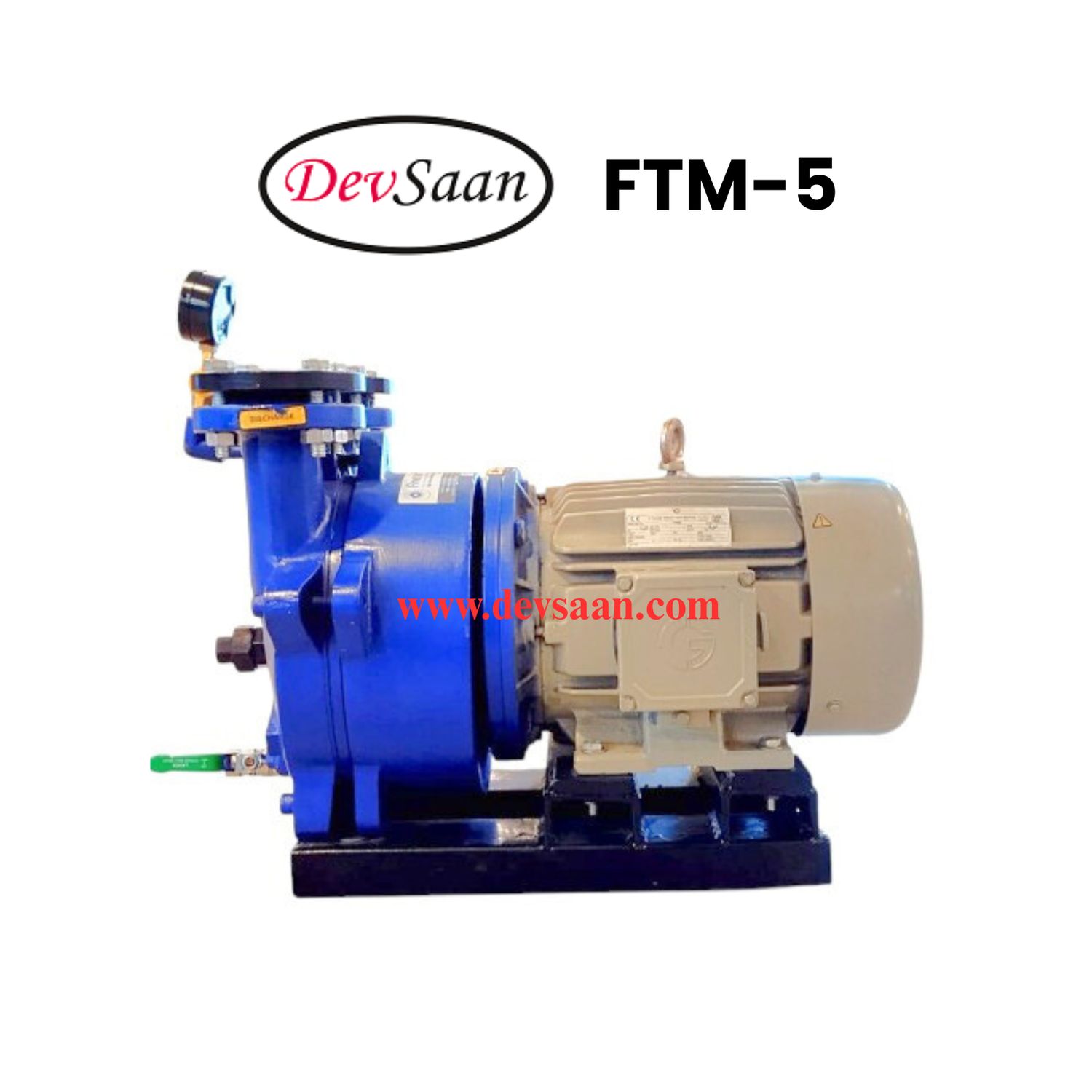 Pompa Vakum Monoblok FTM-5 Liquid Ring Vacuum Pump