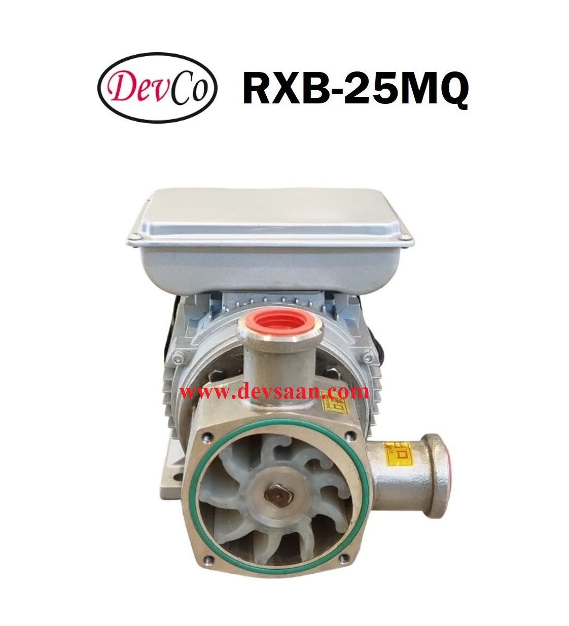 Flexible Impeller Pump SS-304 RXB-25MQ Pompa Impeler Karet