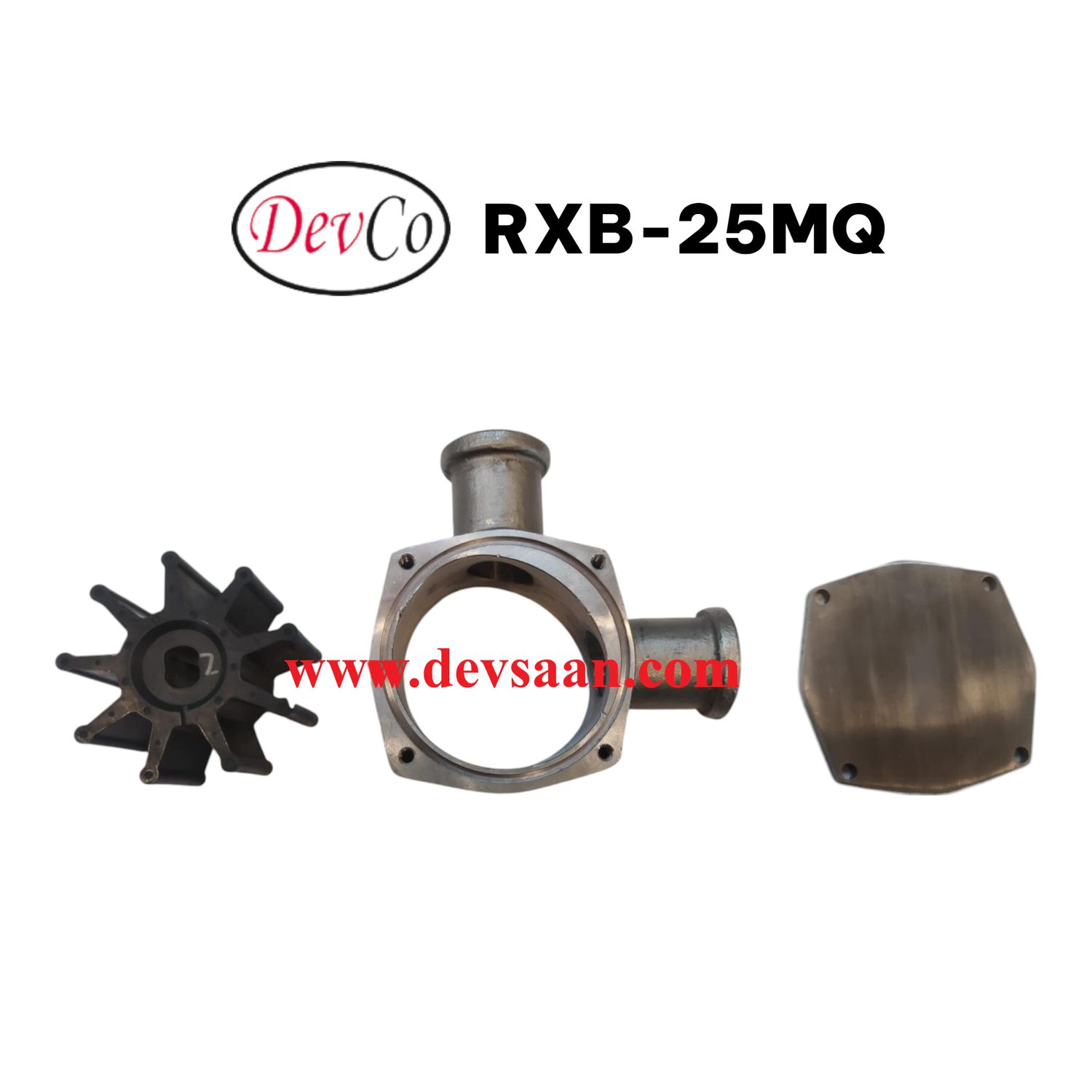 Flexible Impeller Pump SS-304 RXB-25MQ Pompa Impeler Karet