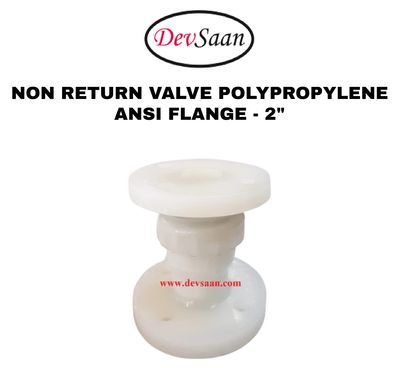 Non Return Valve Polypropylene 2" x 2" Flange ANSI B.16.5 Class #150