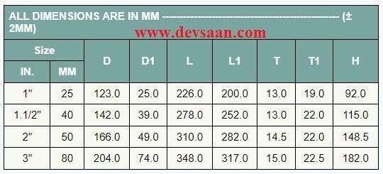 Y Strainer PP 2" x 2" Flange ANSI B.16.5 Class #150