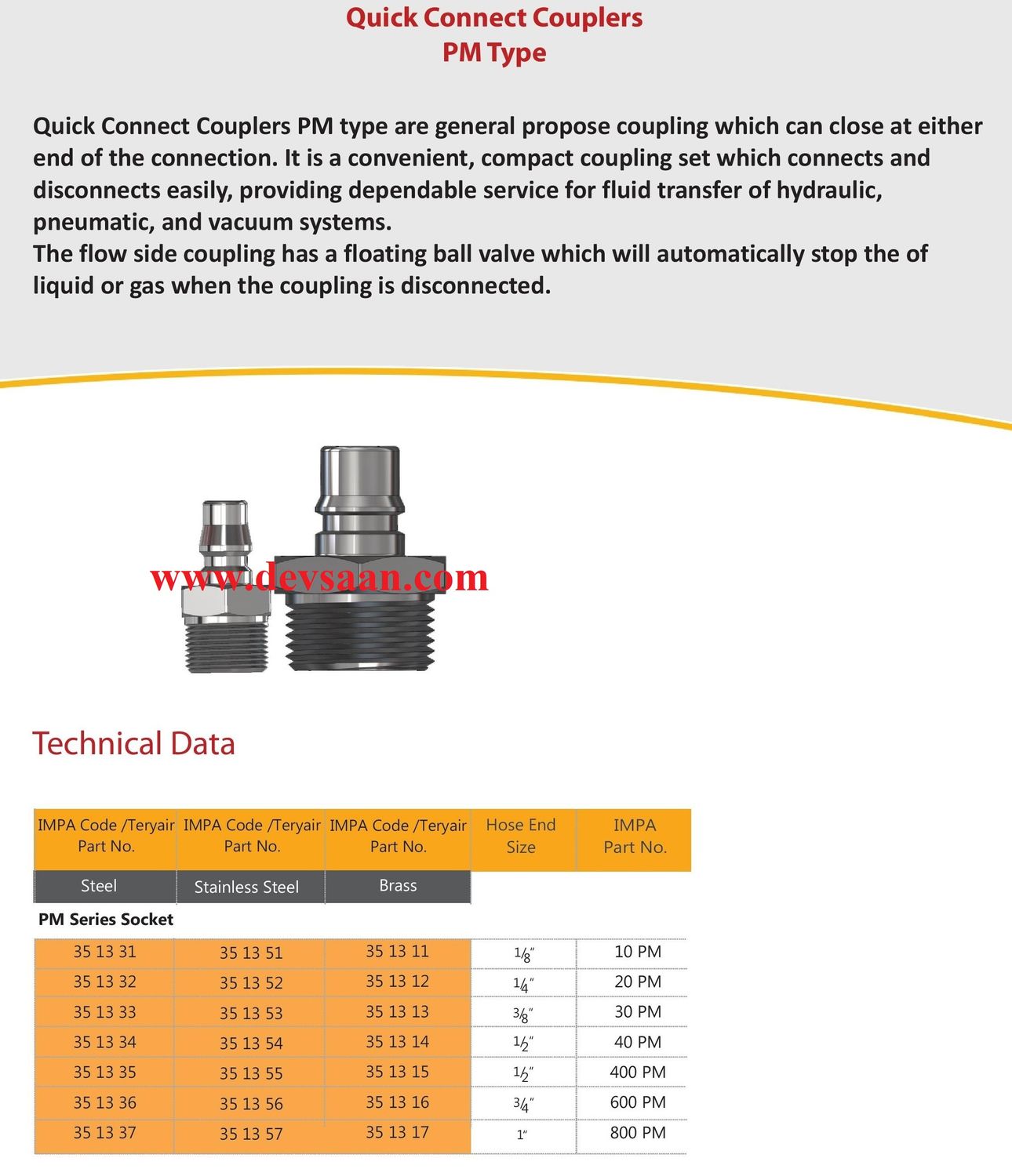 30 PM SS Quick Connect Coupler - PT 3/8