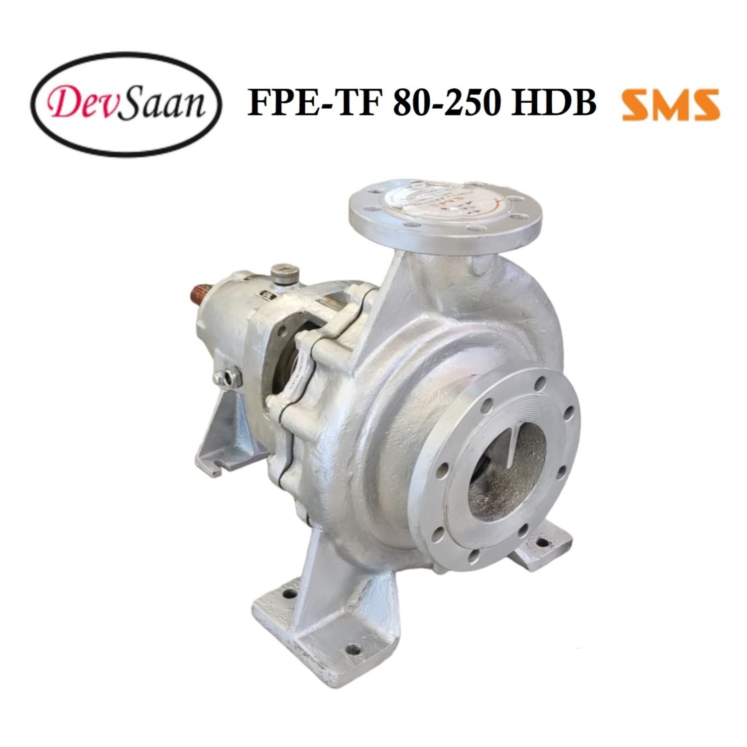 Thermic Fluid Pump FPE-TF 80-250 HDB Pompa Sentrifugal Oli Panas (Complete Set) 4pole