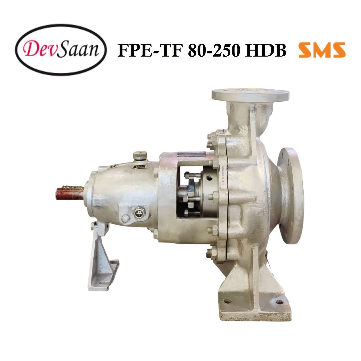 Thermic Fluid Pump FPE-TF 80-250 HDB Pompa Sentrifugal Oli Panas (Complete Set) 4pole