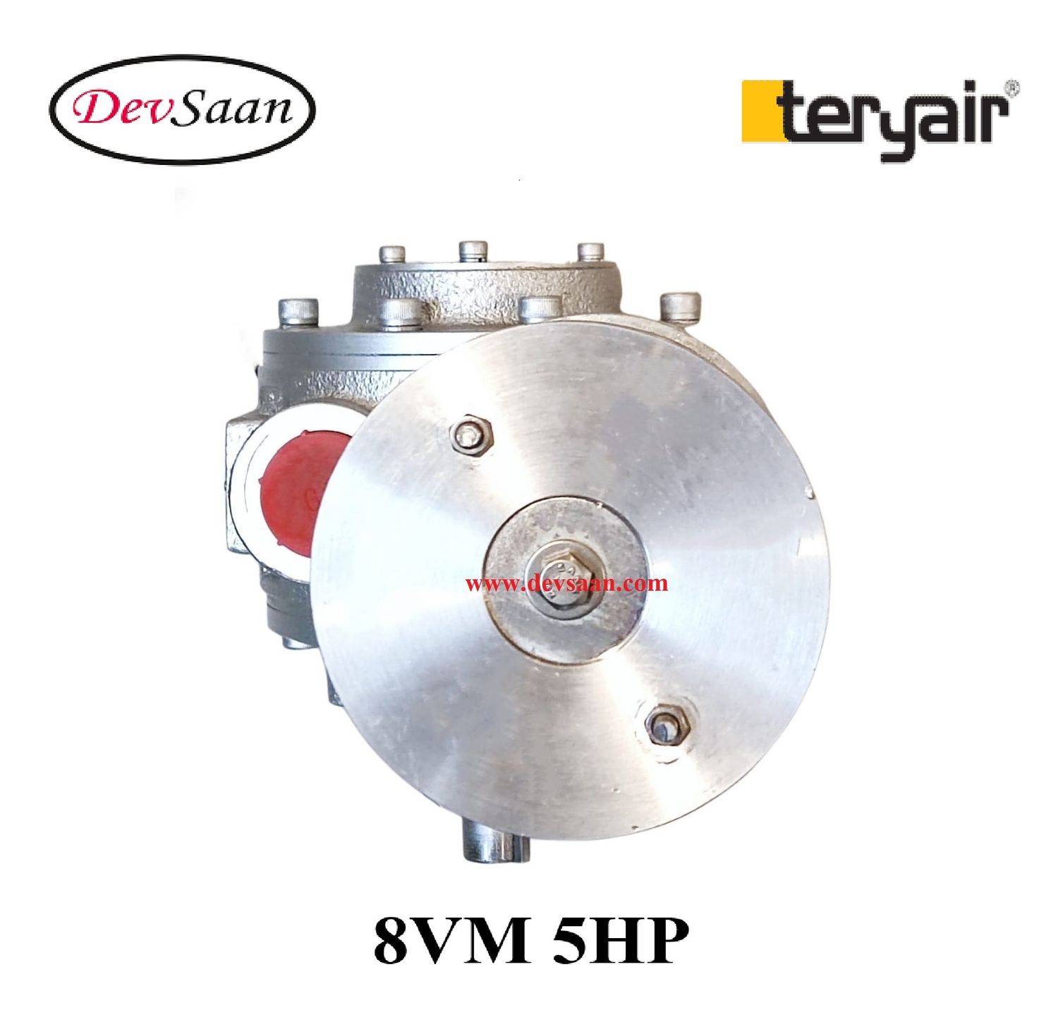 Repair Kit Vane Air Motor 8VMSALEXG