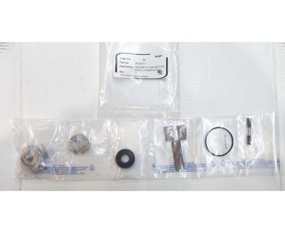 Repair Kit Vane Air Motor 2VMSALEXR