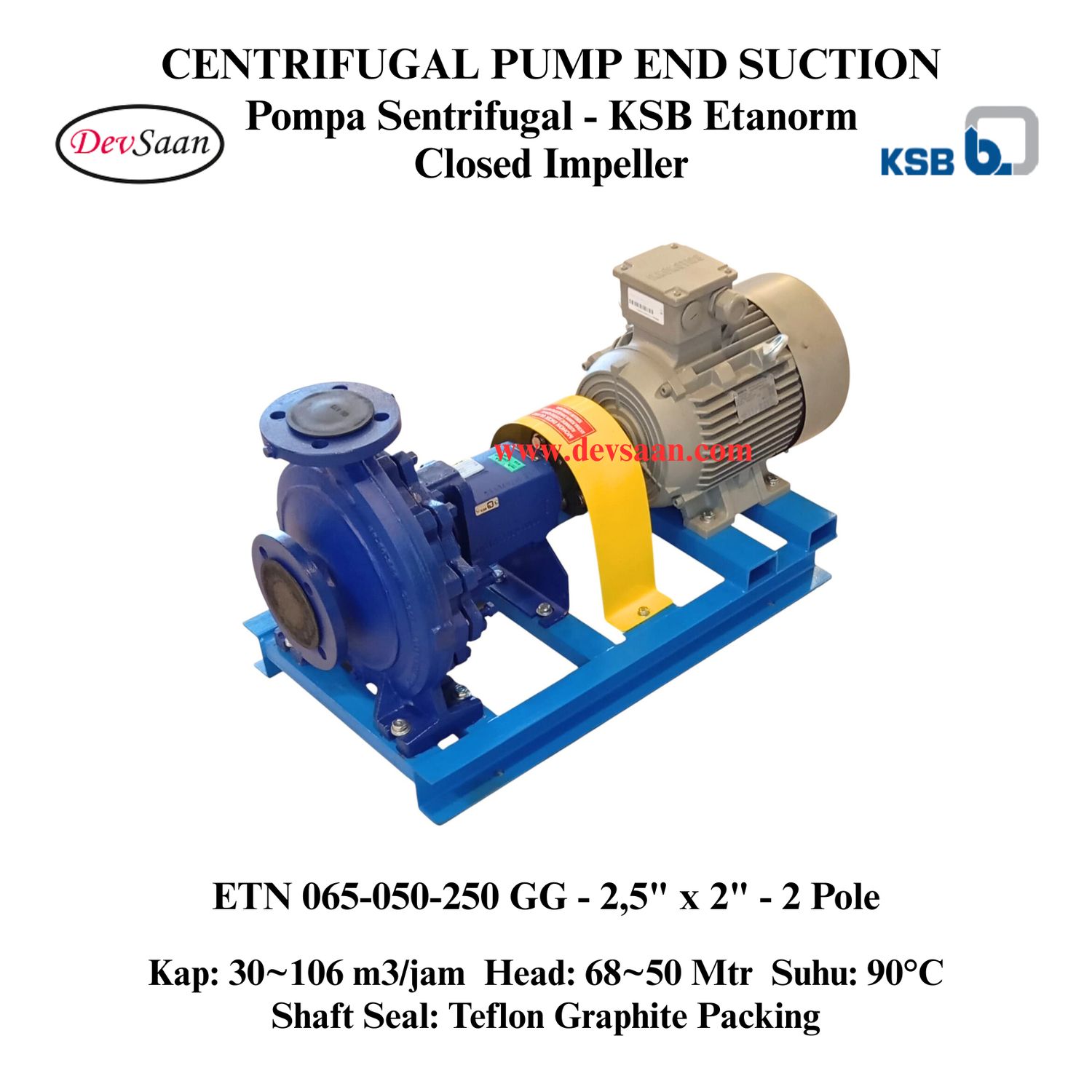Centrifugal Pump End Suction KSB Etanorm ETN 065-050-250 GG (Complete Set) 2pole
