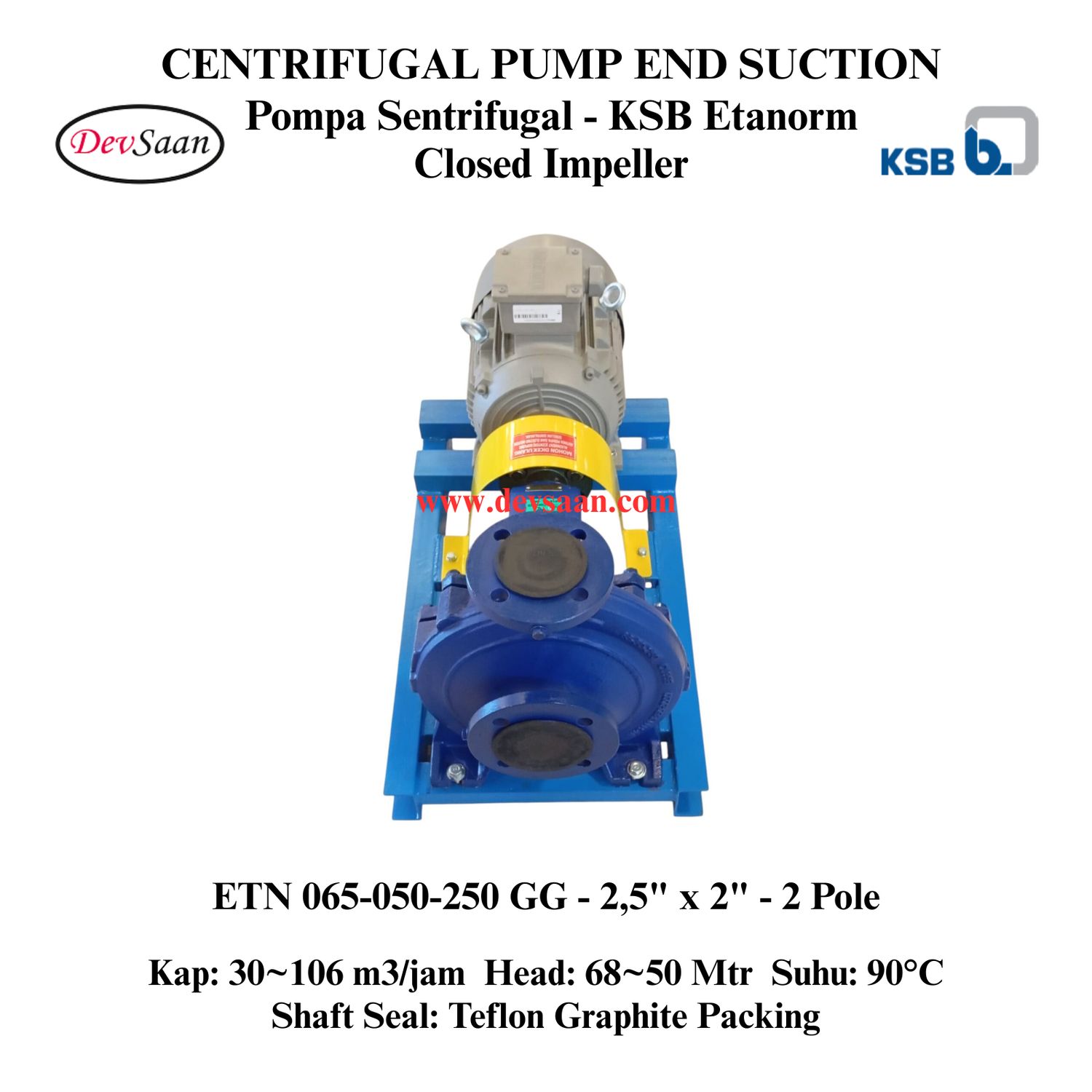 Centrifugal Pump End Suction KSB Etanorm ETN 065-050-250 GG (Complete Set) 2pole