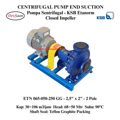 Centrifugal Pump End Suction KSB Etanorm ETN 065-050-250 GG (Complete Set) 2pole