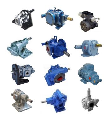 Gear pump rotary