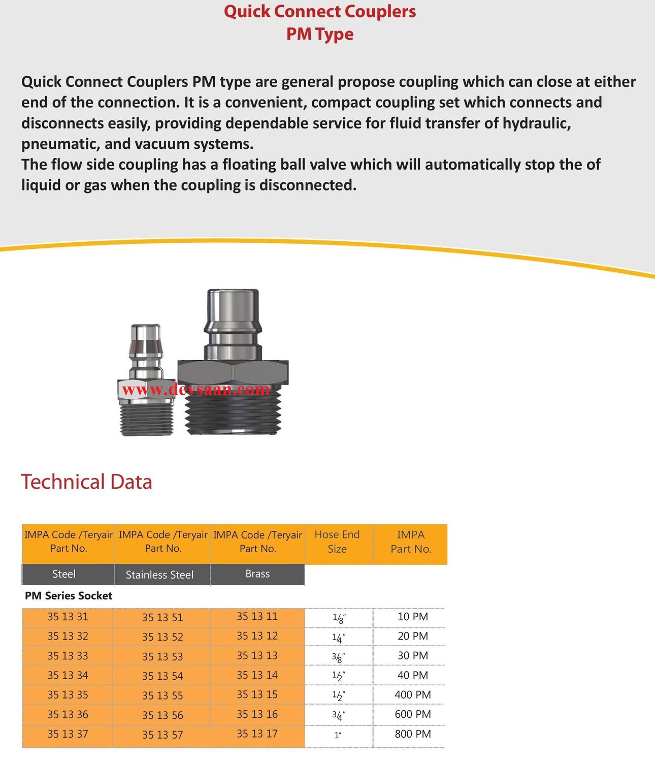 20 PM S Quick Connect Coupler - PT 1/4