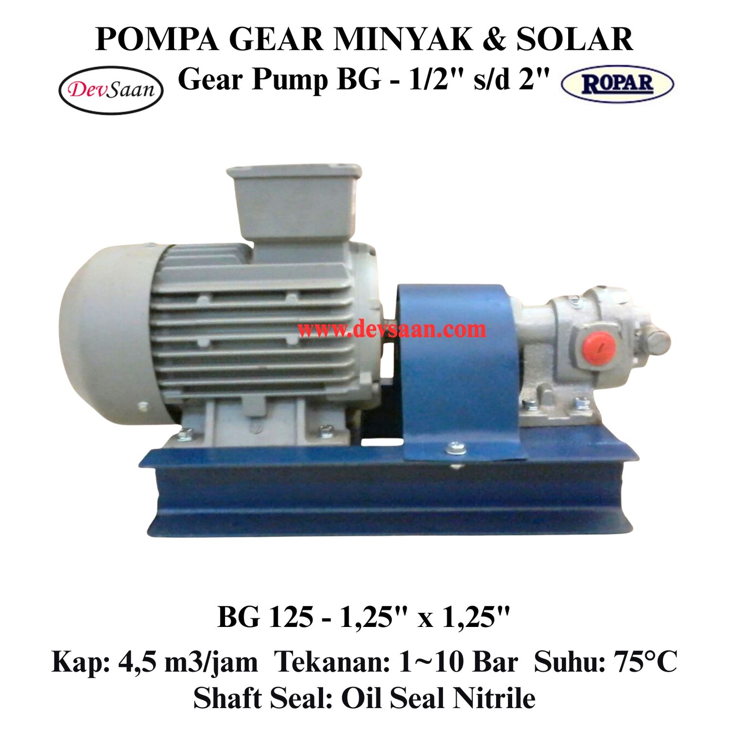 Gear Pump Helikal BG 125 Pompa Roda Gigi (Complete Set) 4pole