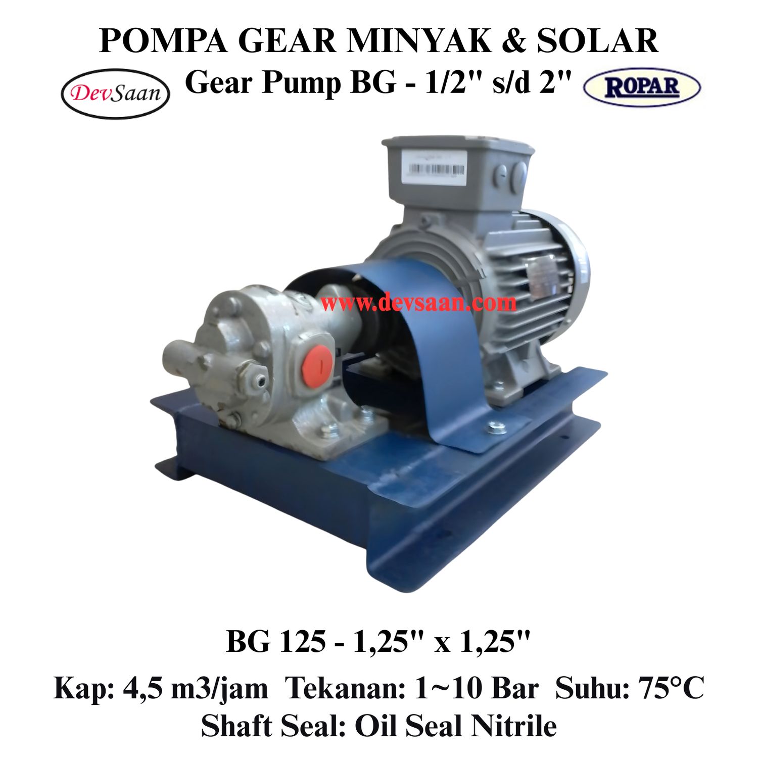 Gear Pump Helikal BG 125 Pompa Roda Gigi (Complete Set) 4pole