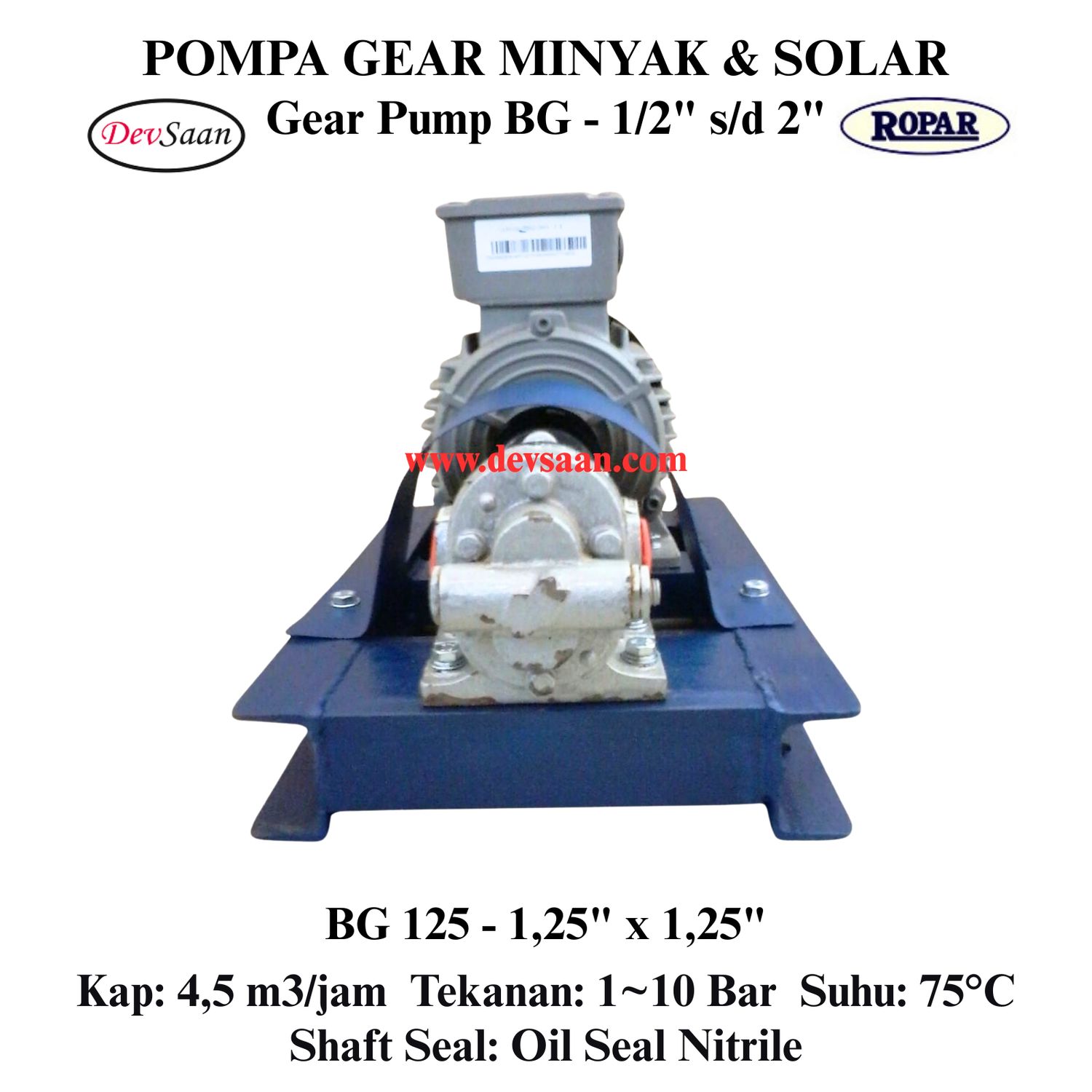Gear Pump Helikal BG 125 Pompa Roda Gigi (Complete Set) 4pole