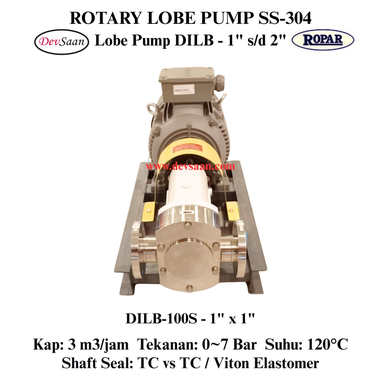 Rotary Lobe Pump DILB-100S Pompa Rotari Lobe (Complete Set) 4pole