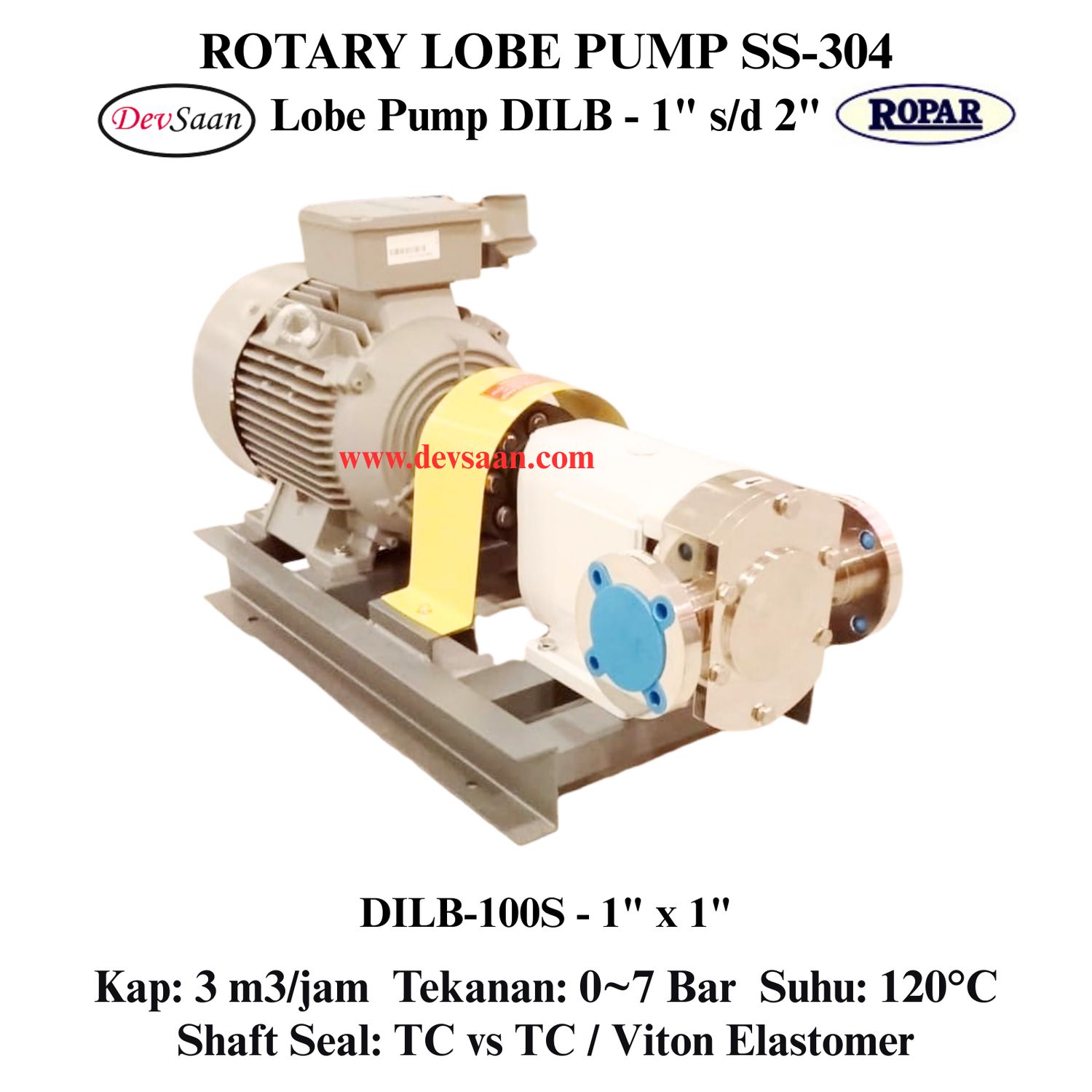 Rotary Lobe Pump DILB-100S Pompa Rotari Lobe (Complete Set) 4pole