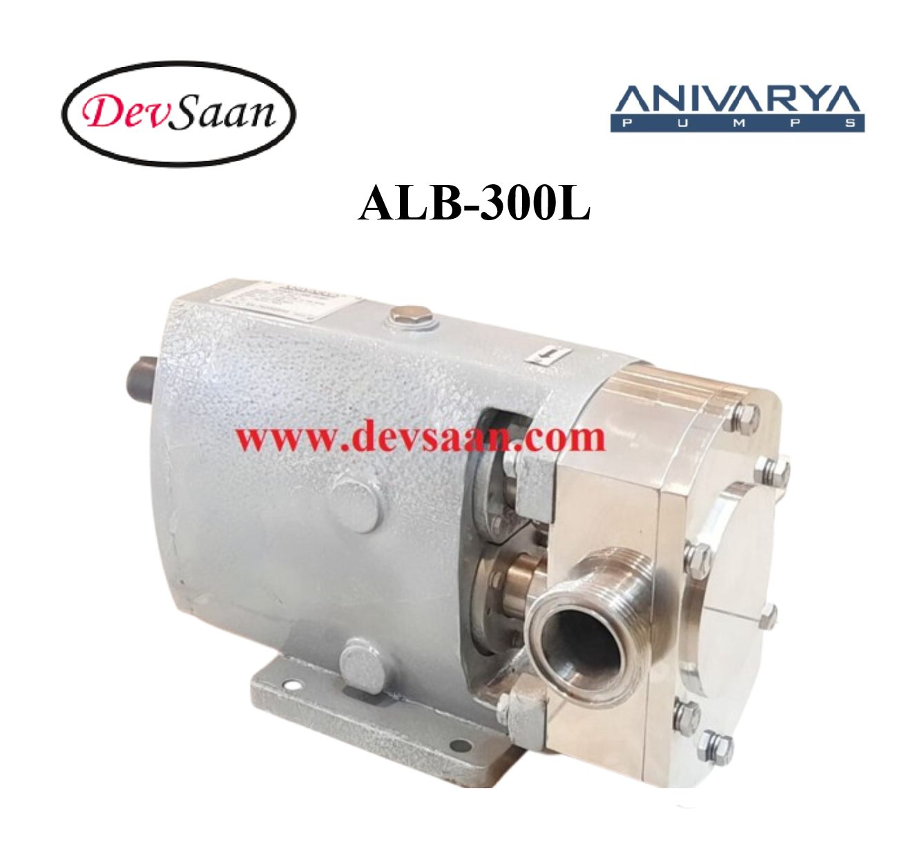 Rotary Lobe Pump ALB-300L Pompa Rotari Lobe Rotary Lobe Pump ALB-300L Pompa Rotari Lobe