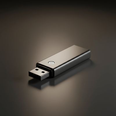 Zibatmiņas (USB atmiņas)