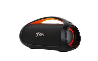 CS2606 SPKR BOOM BOX 110WRMS