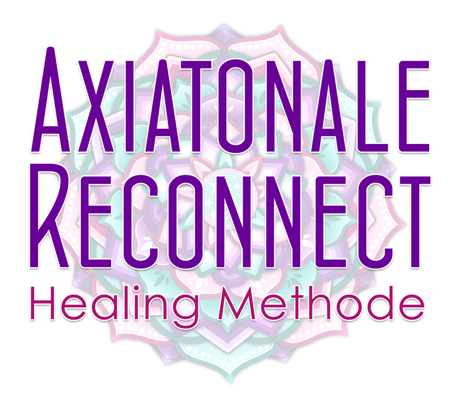 Axiatonale Reconnect Healing Methode opleidingsdag