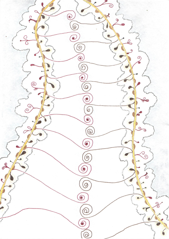 DNA Reset