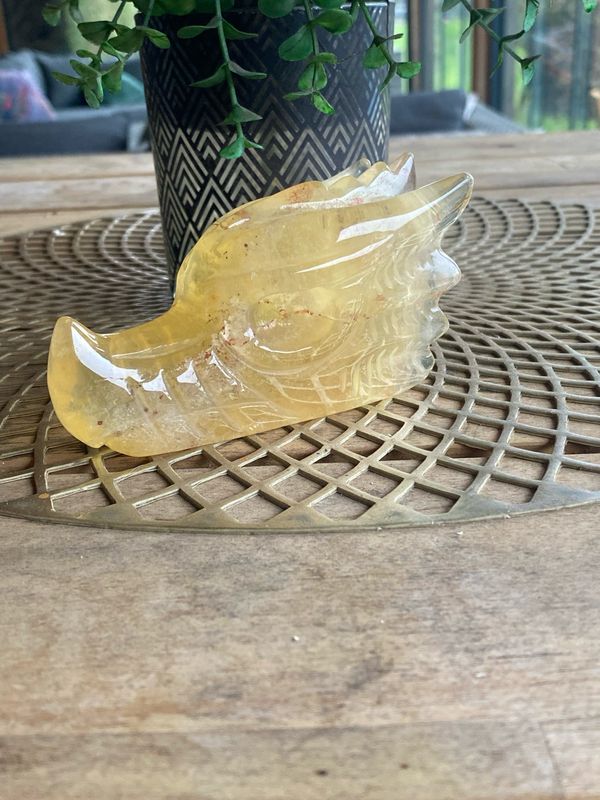Draak Gele Fluoriet