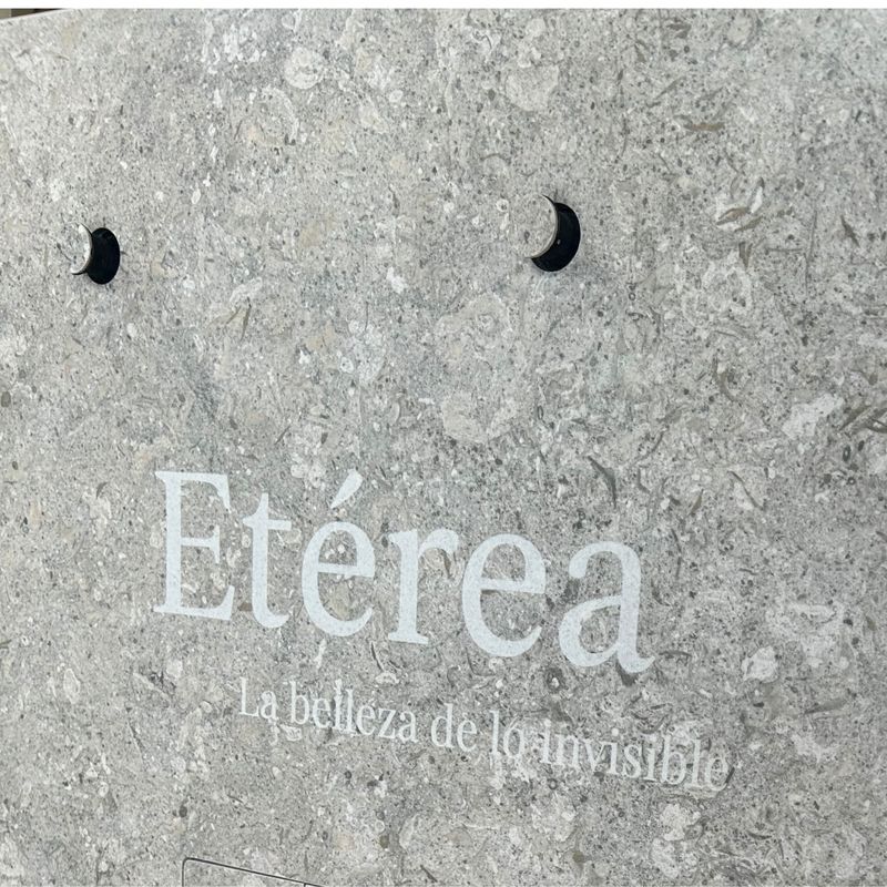 Etérea HiddenTowel hook