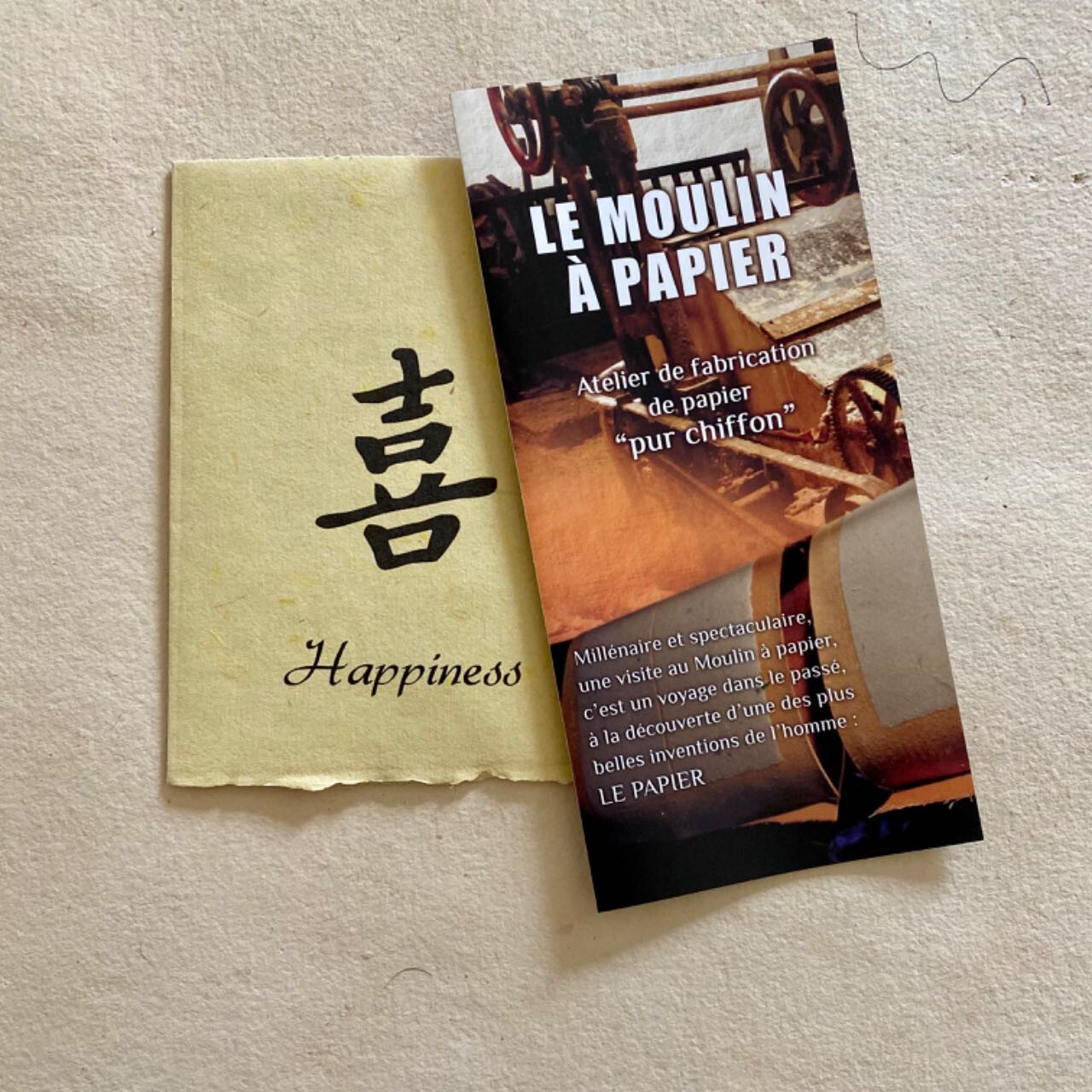 Happiness (le Bonheur)